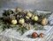 Still Life with Pears and Grapes Poster Print by Claude Monet - Item # VARPDX278708